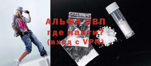 сатива Новодвинск
